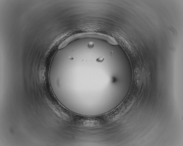 X0000112470400200908311354