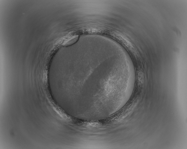 X0000112470401200908311354