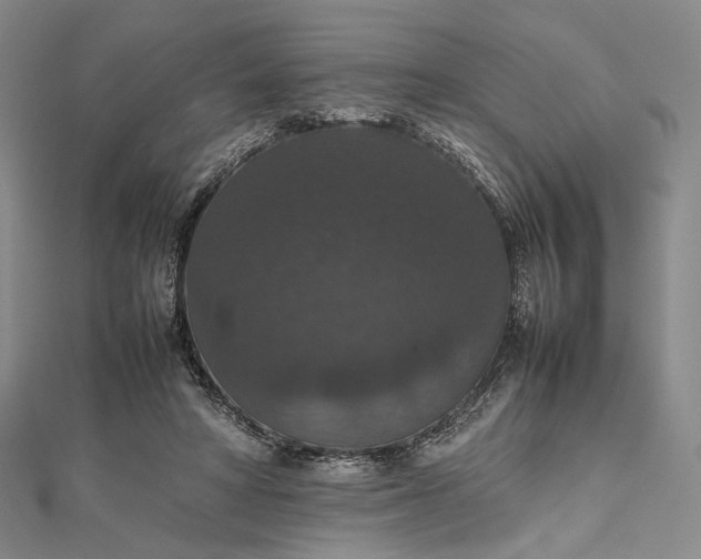 X0000112470402200908311354