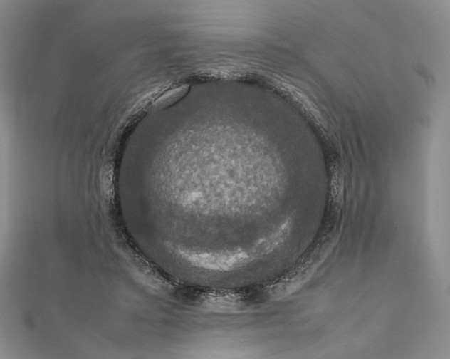 X0000112470403200908311354