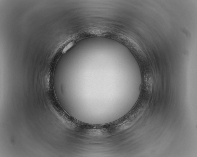 X0000112470404200908311354