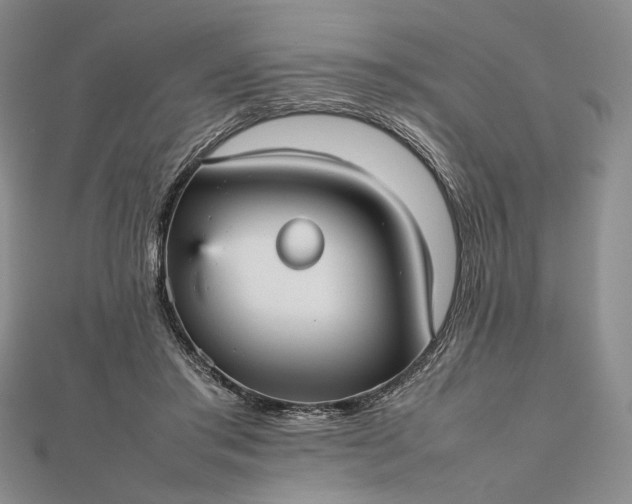 X0000112470405200908311354