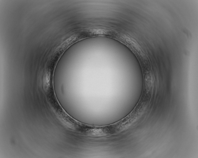 X0000112470406200908311354