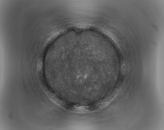 X0000112470407200908311354