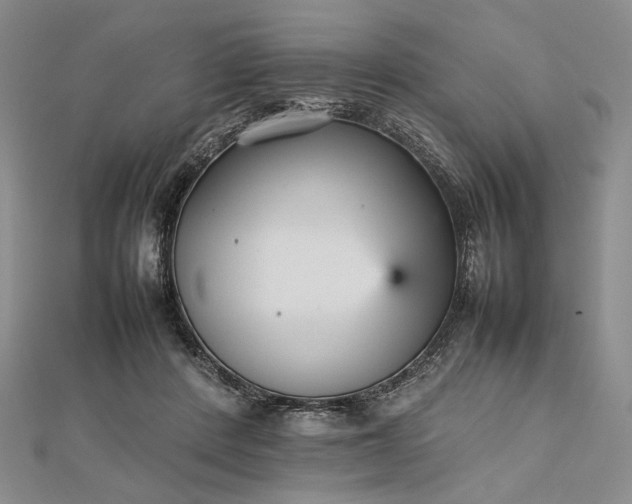 X0000112470408200908311354