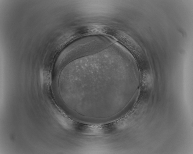 X0000112470409200908311354