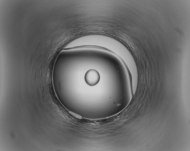 X0000112470411200908311354