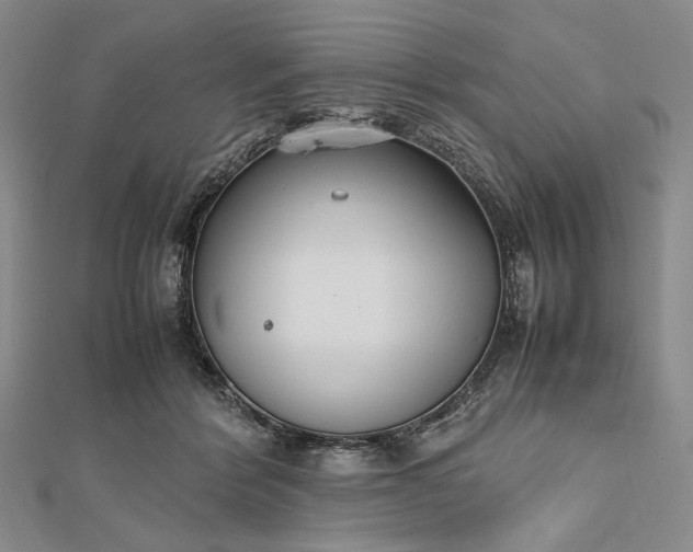 X0000112470412200908311354