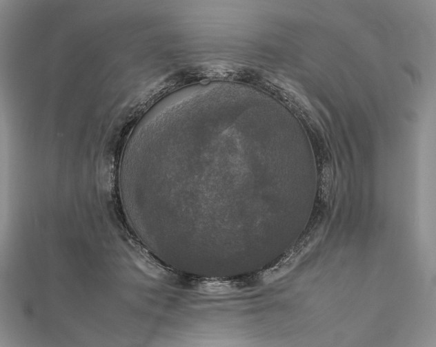 X0000112470413200908311354