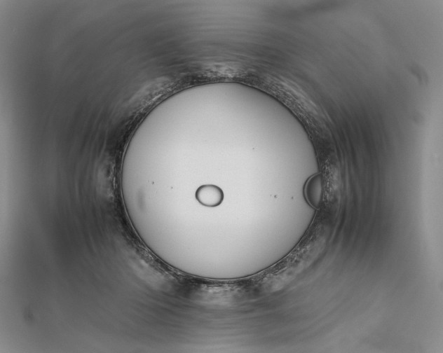 X0000112470414200908311354