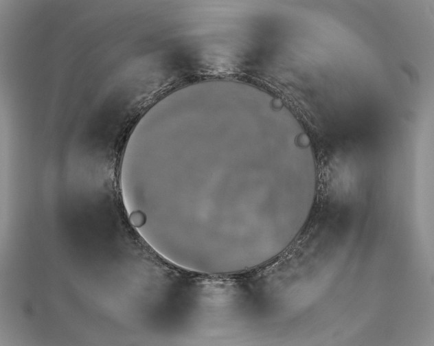 X0000112470415200908311354