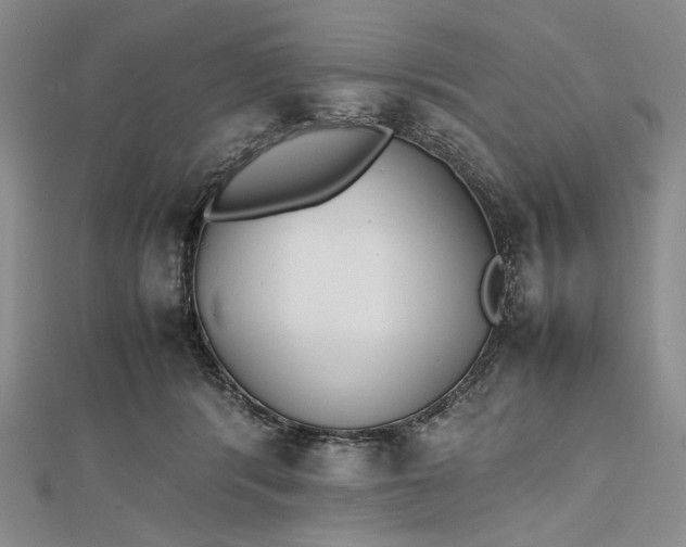 X0000112470416200908311354