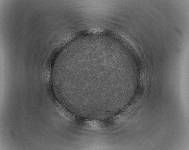 X0000112470417200908311354