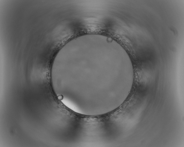 X0000112470419200908311354