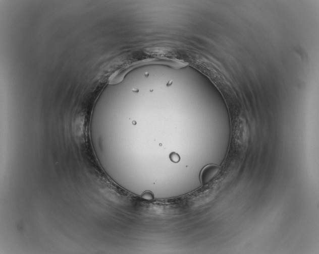 X0000112470420200908311354