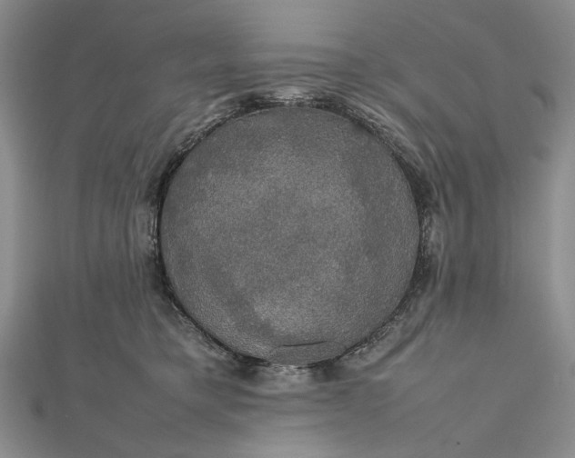 X0000112470421200908311354