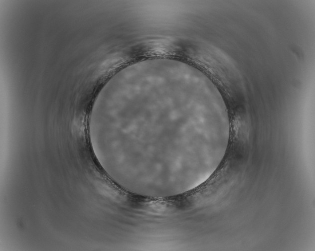 X0000112470423200908311354