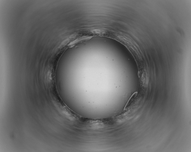 X0000112470424200908311354