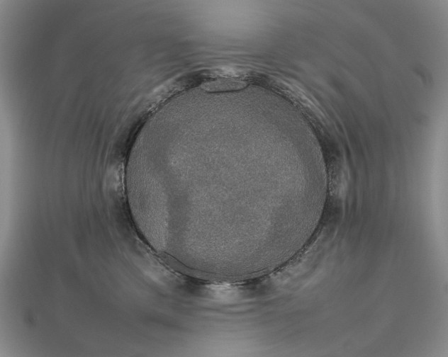 X0000112470425200908311353