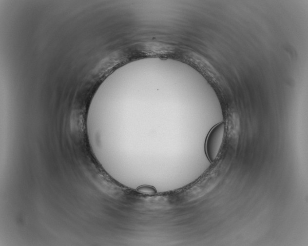 X0000112470426200908311353