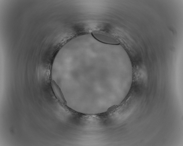 X0000112470427200908311353