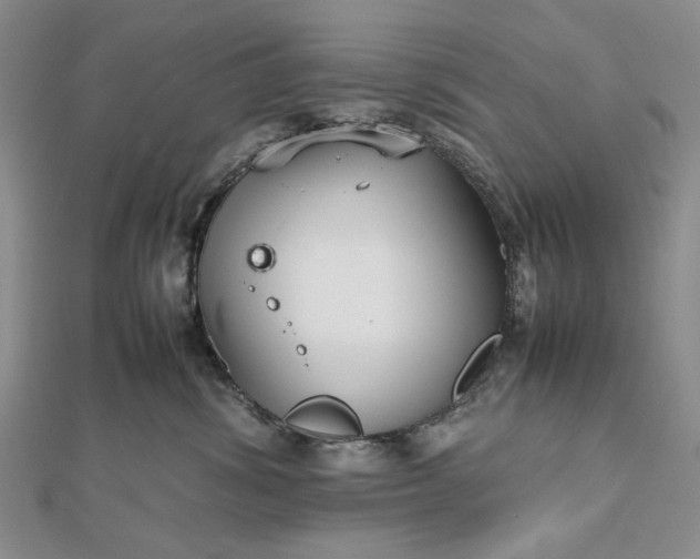 X0000112470428200908311353