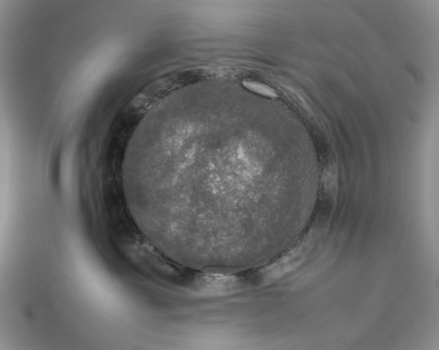 X0000112470429200908311353