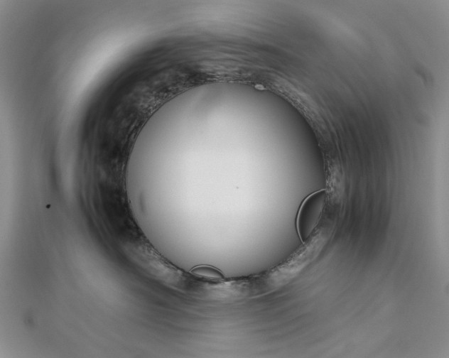 X0000112470430200908311353