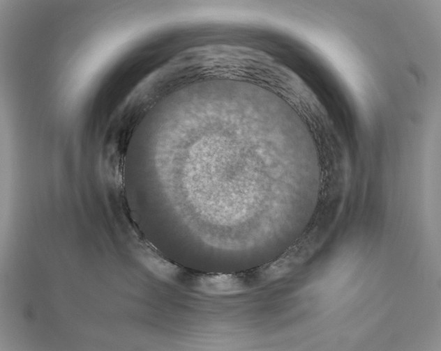 X0000112470431200908311353