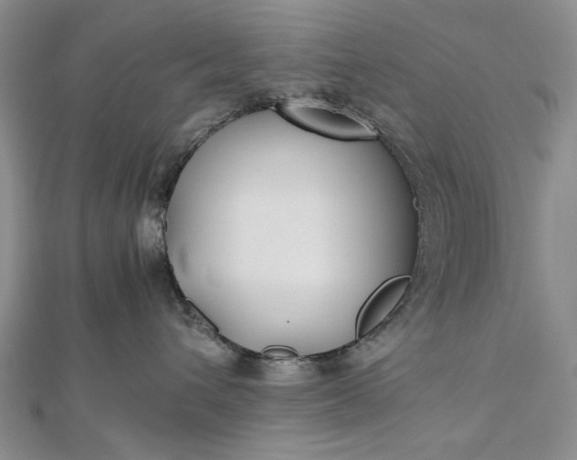 X0000112470432200908311353