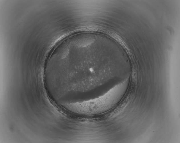 X0000112470434200908311353