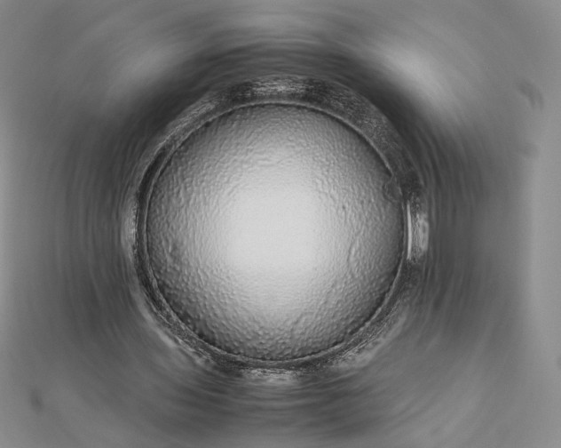 X0000112470435200908311353