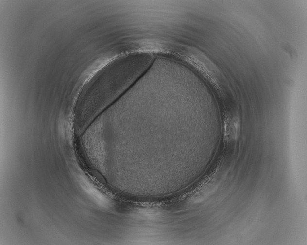 X0000112470436200908311353