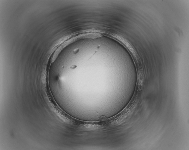 X0000112470437200908311353