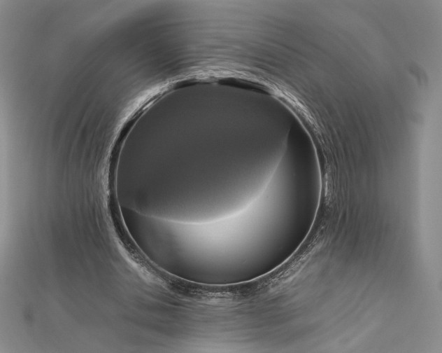 X0000112470438200908311353