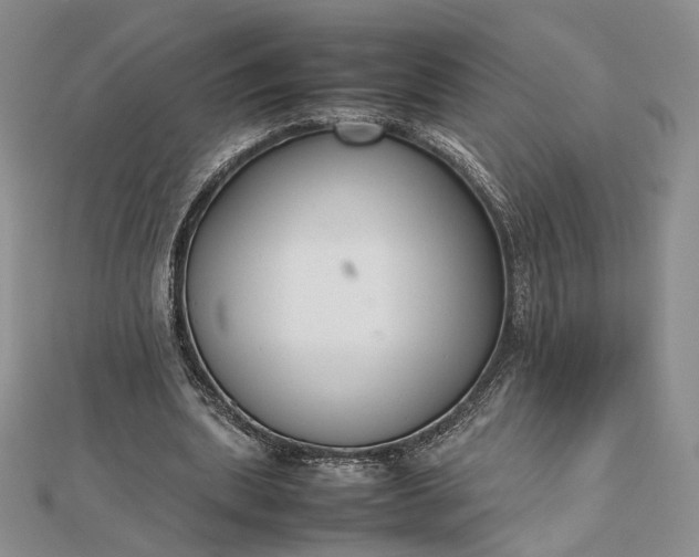 X0000112470439200908311353