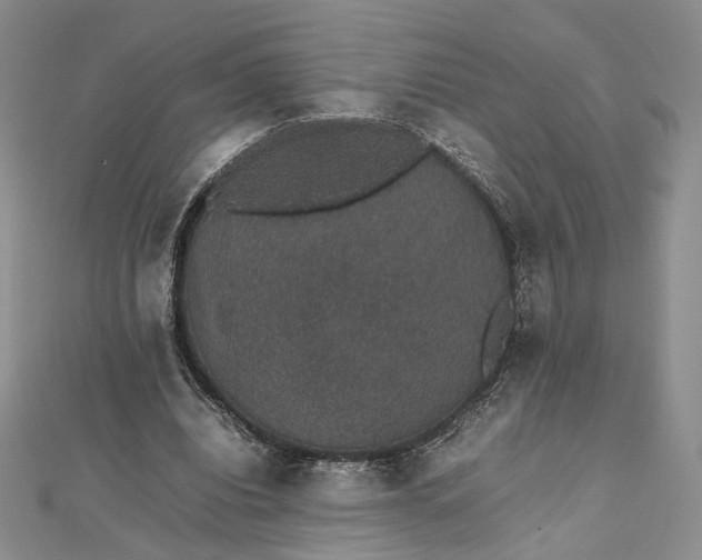 X0000112470440200908311353