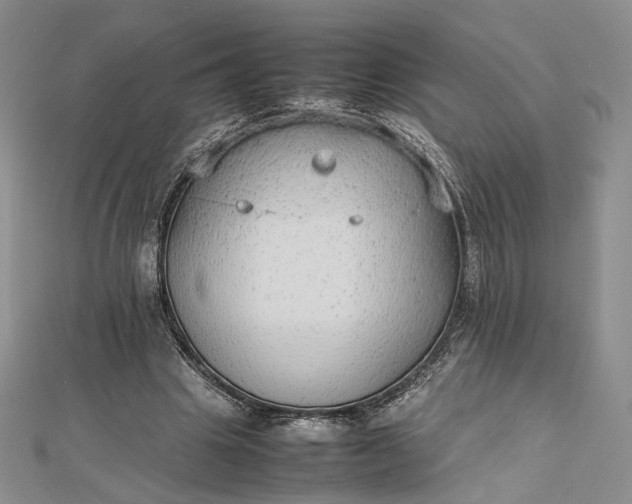 X0000112470441200908311353