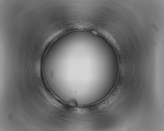 X0000112470442200908311353