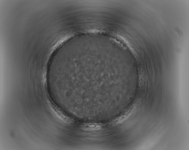 X0000112470443200908311353