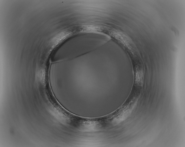 X0000112470444200908311353