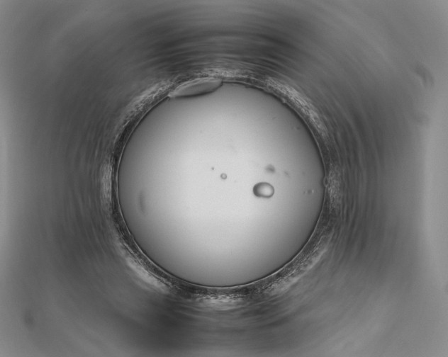 X0000112470445200908311353