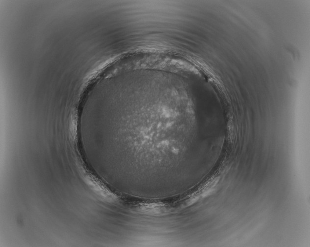 X0000112470446200908311353