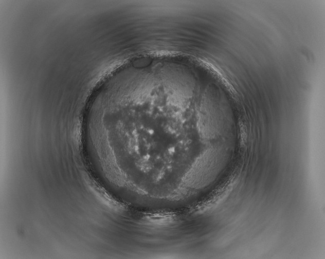 X0000112470447200908311353