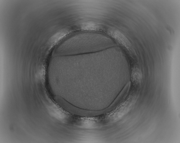 X0000112470448200908311353