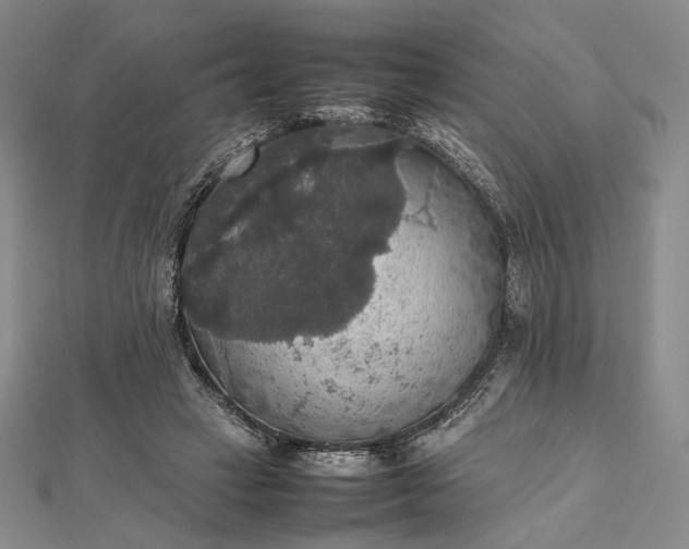 X0000112470449200908311353