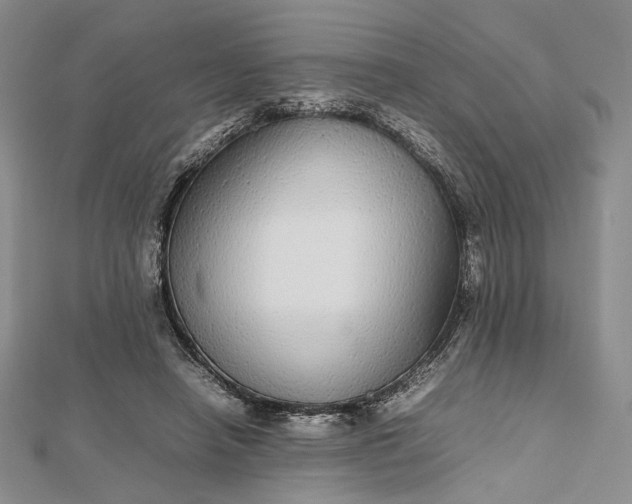 X0000112470450200908311353