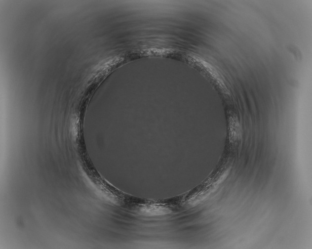 X0000112470451200908311353