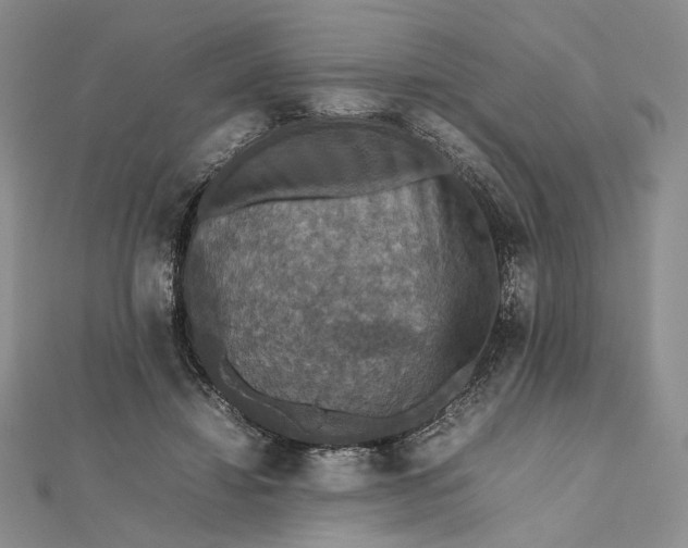 X0000112470452200908311353