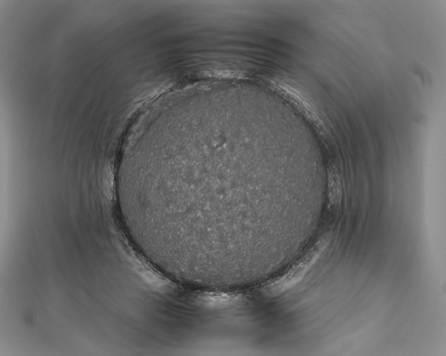 X0000112470453200908311353